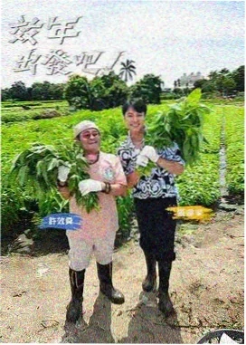 中国好声音